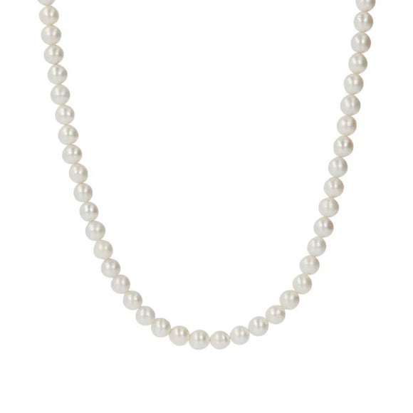 Collana Albert M