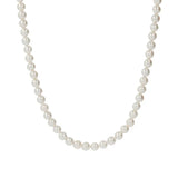 Collana Albert M